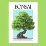 Bonsai Tree Poster – Minimal Japanese Nature Wall Art
