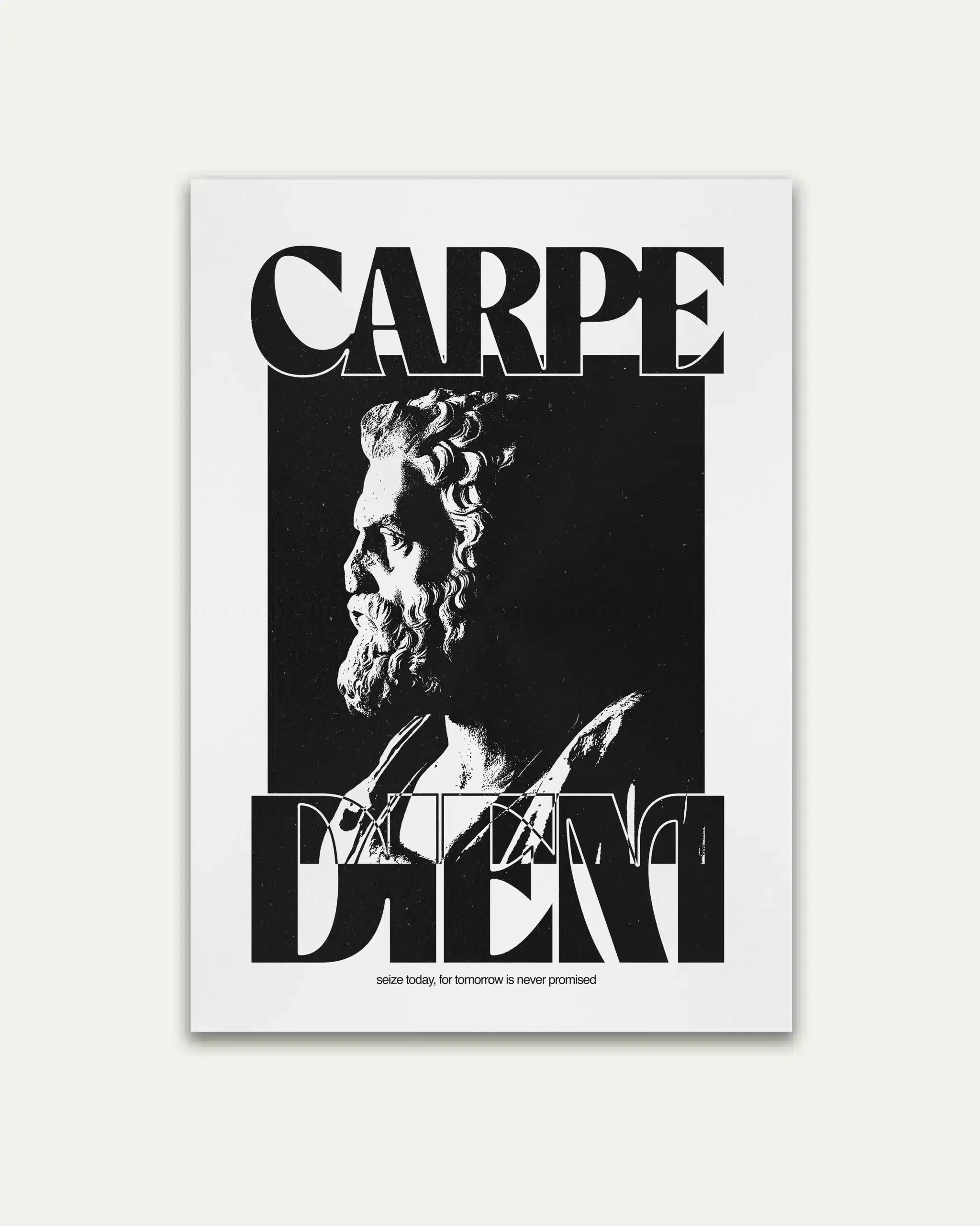 Carpe Diem Quote Wall Poster