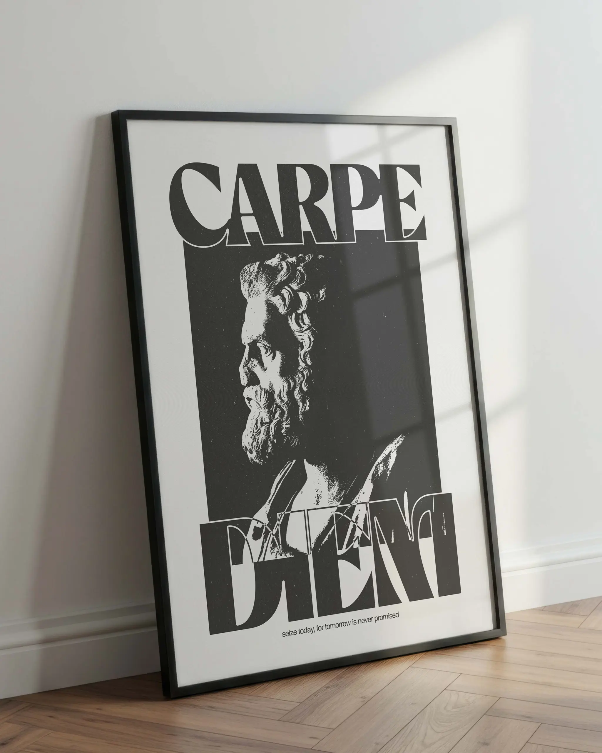 Carpe Diem Quote Wall Poster
